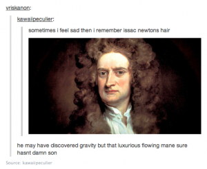 A screenshot from tumblr. User "kawaiipeculier" says: "sometimes I feel sad then I remember isaac newtons hair". There's a painting of Newton from the 18th century with a full head of long brown hair that's curled and fluffed out like a lion's mane.  User "vriskanon" says: "he may have discovered gravity but that luxurious flowing man sure hasn't damn son"