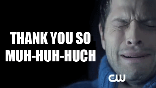 An animated gif of a crying man with the text "THANK YOU SO MUH-HUH-HUCH"