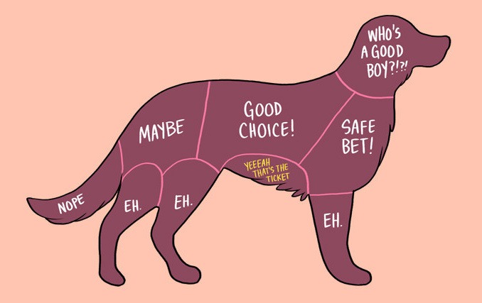 An illustration of a dog where the body parts are outlined and labeled like a butcher's chart. Each section says whether or not a dog want to be pet there. 