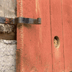 A looping animated gif of cats squeezing through a round hole in a red wooden door outside.